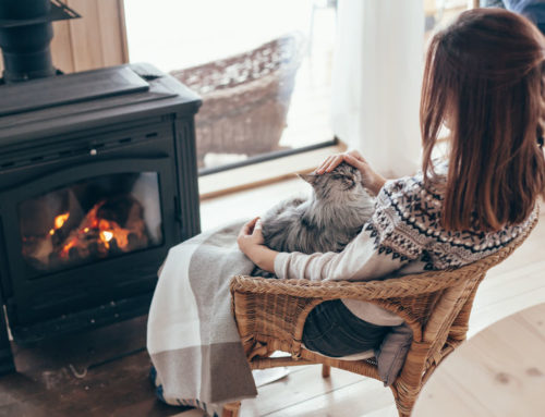 Cleaning Your Wood Stove Before Winter
